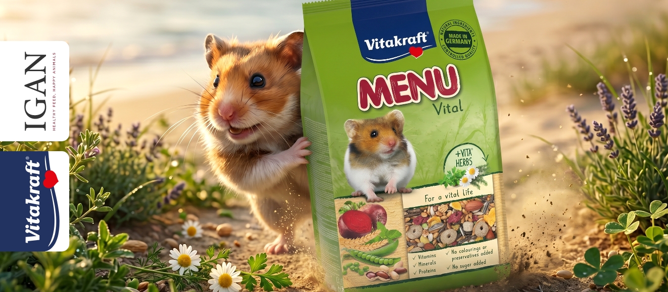 Описание изображения